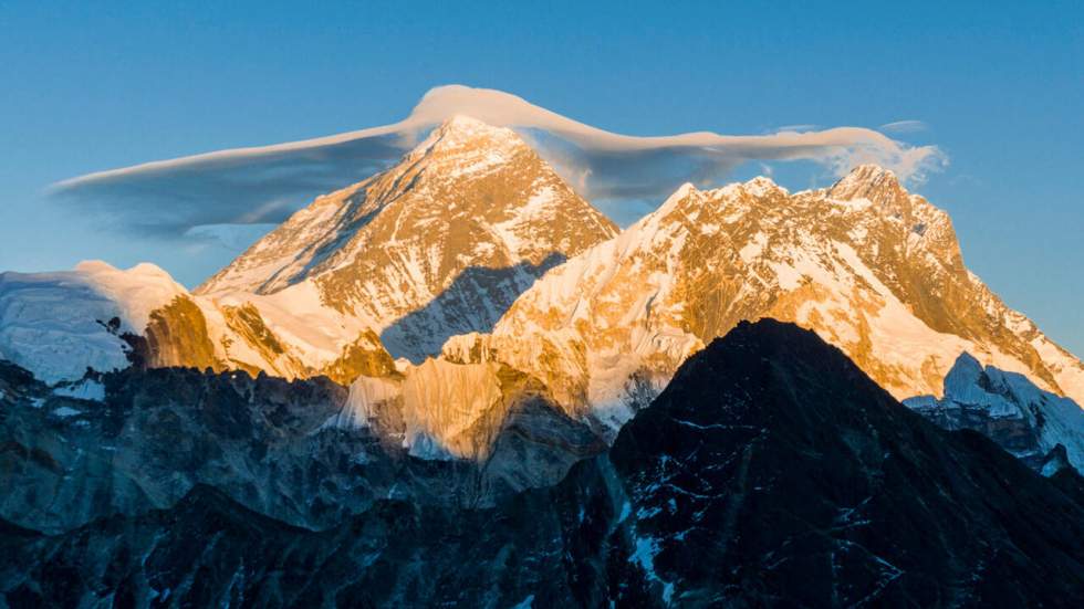 Des analyses ADN montrent que la légende du Yéti est fondée sur des ours de l’Himalaya Des analyses ADN montrent que la légende du Yéti est fondée sur des ours de l’Himalaya