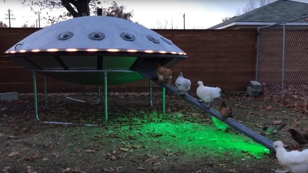 De l'intérêt d'élever des poules : avoir un poulailler ovni dans son jardin, par exemple De l'intérêt d'élever des poules : avoir un poulailler ovni dans son jardin, par exemple