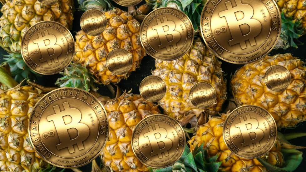 Un millionnaire anonyme distribue 86 millions de dollars en bitcoins à des associations Un millionnaire anonyme distribue 86 millions de dollars en bitcoins à des associations