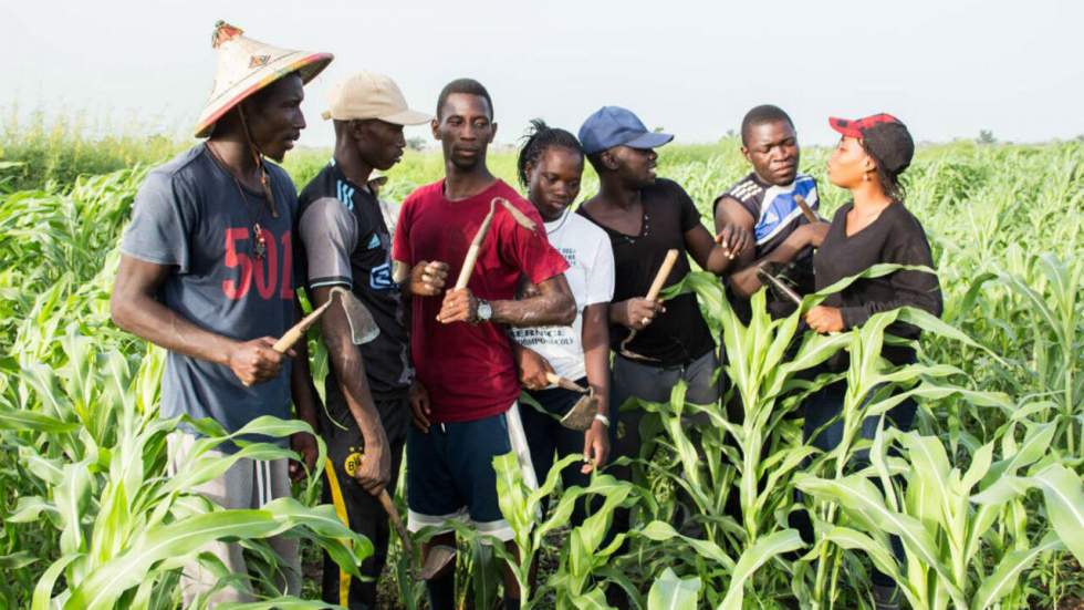 Au Sénégal, une émission de télé-réalité réconcilie les jeunes avec l'agriculture