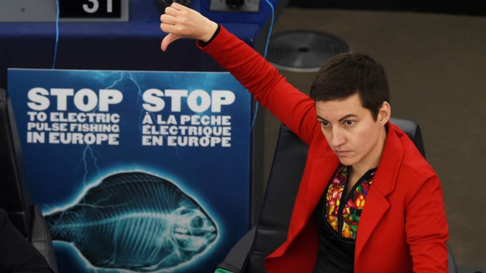 Le Parlement européen se prononce pour l'interdiction de la pêche électrique Le Parlement européen se prononce pour l'interdiction de la pêche électrique