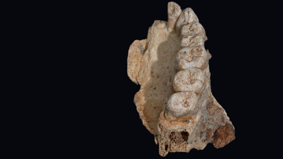 Les plus anciens restes d'Homo sapiens, hors d'Afrique, découverts en Israël Les plus anciens restes d'Homo sapiens, hors d'Afrique, découverts en Israël