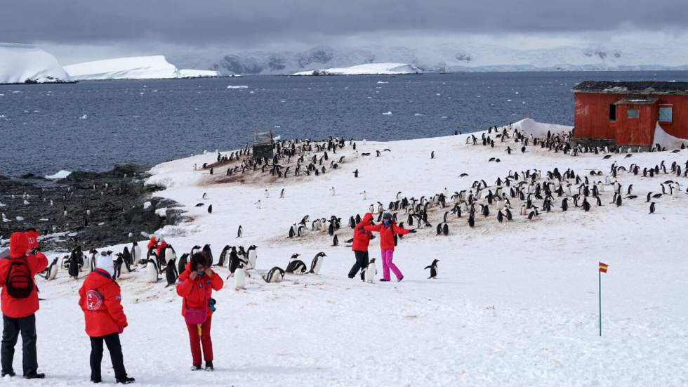 La Chine interdit à ses ressortissants qui vont faire du tourisme en Antarctique de toucher les manchots