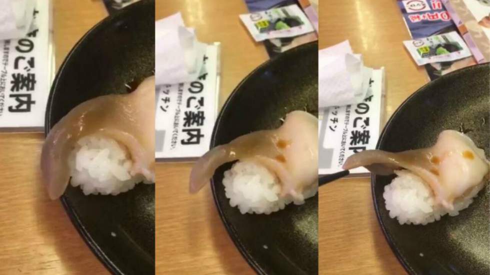 Ce sushi encore vivant s'agite pour retrouver la mer et fait tout pour nous couper l'appétit