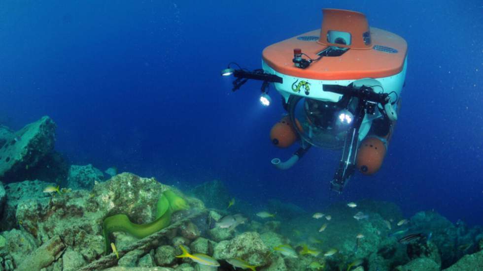 Une zone inconnue des océans grouillant de nouvelles espèces vient d'être découverte