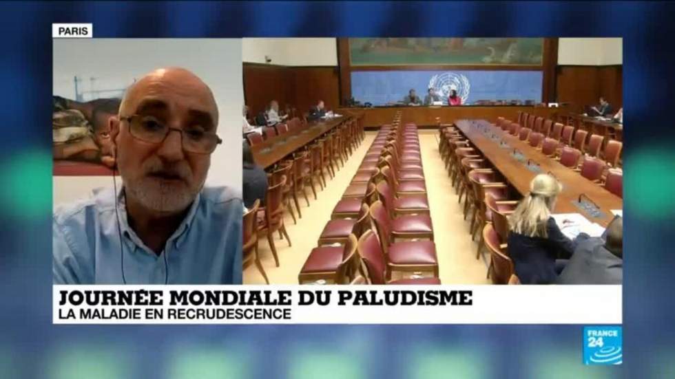 Journée mondiale contre le paludisme : "90 % de l'ensemble des cas de paludisme sont en Afrique"