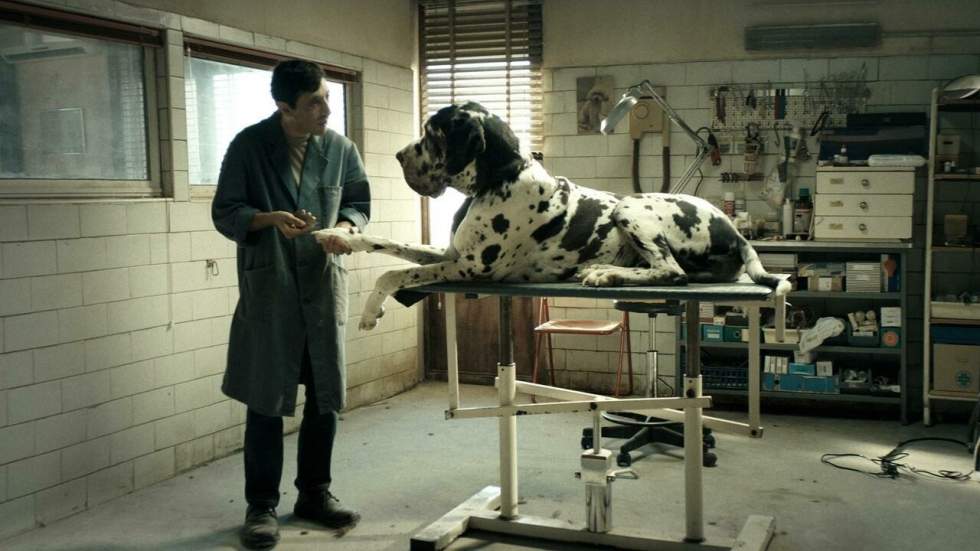 "Dogman", film canin mais décevant "Dogman", film canin mais décevant