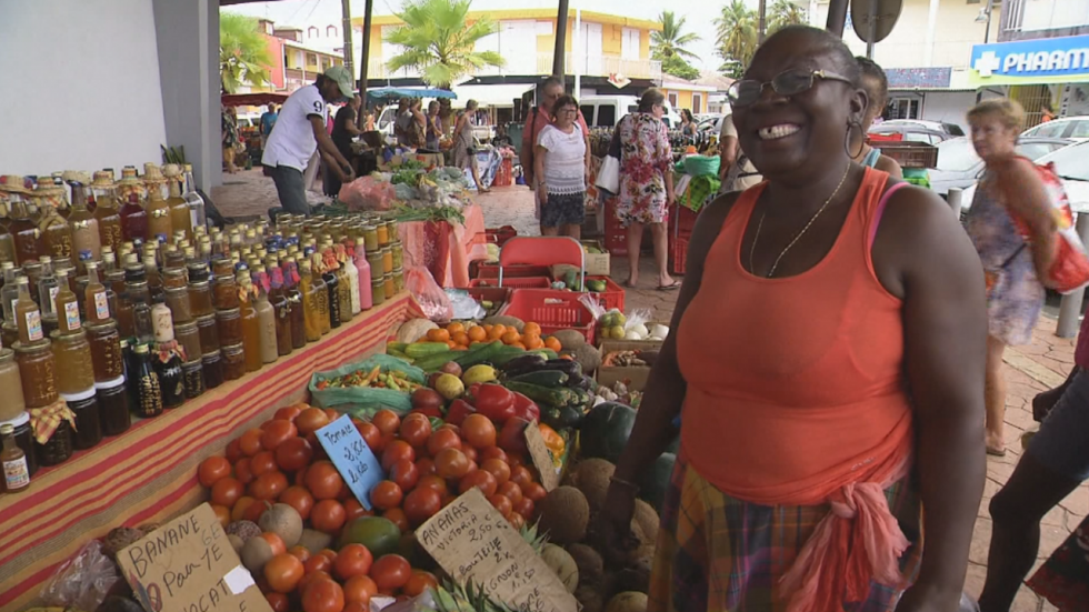 En Guadeloupe, les papilles des Antilles