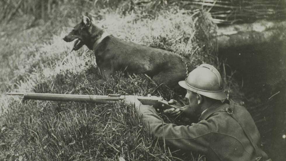 Hommage aux animaux de la Grande Guerre : à Paris, l'idée d'un monument fait débat