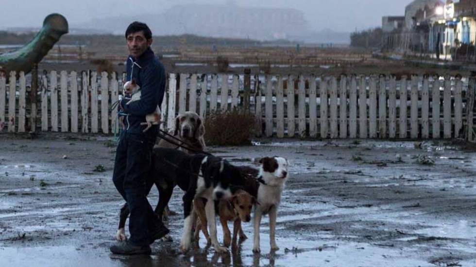 "Dogman" : chienne de vie à l'italienne