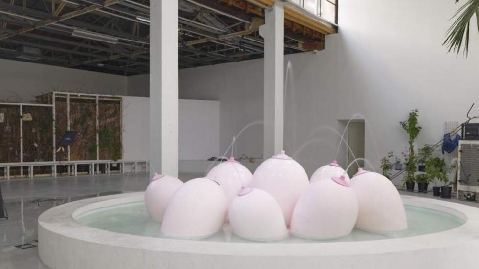 Laure Prouvost : folie douce au Palais de Tokyo Laure Prouvost : folie douce au Palais de Tokyo