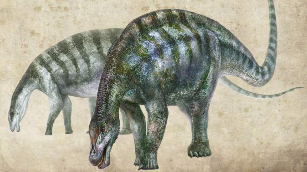 Une nouvelle espèce de dinosaures à long cou a été découverte en Chine