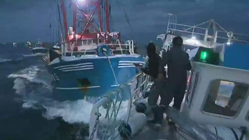 Pêcheurs français et britanniques se livrent une "bataille de la St Jacques" en baie de Seine