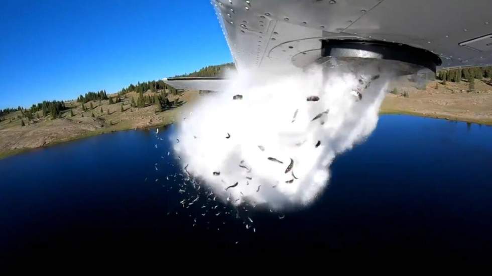 Chaque année, des dizaines de milliers de poissons sont largués par avion dans des lacs de l'Utah Chaque année, des dizaines de milliers de poissons sont largués par avion dans des lacs de l'Utah