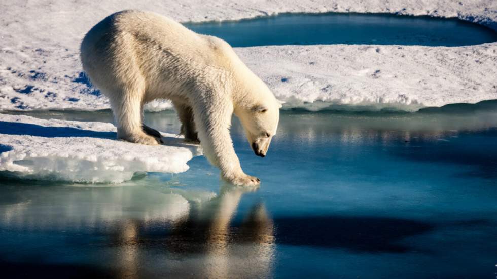 Réchauffement climatique : le Giec appelle à des transformations "sans précédent"