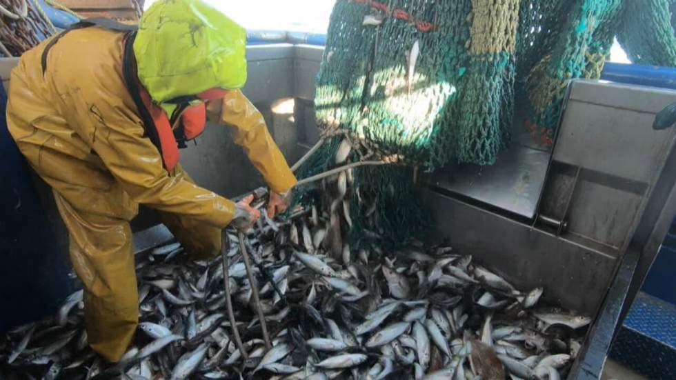 Le Brexit, un océan d'incertitudes pour les pêcheurs