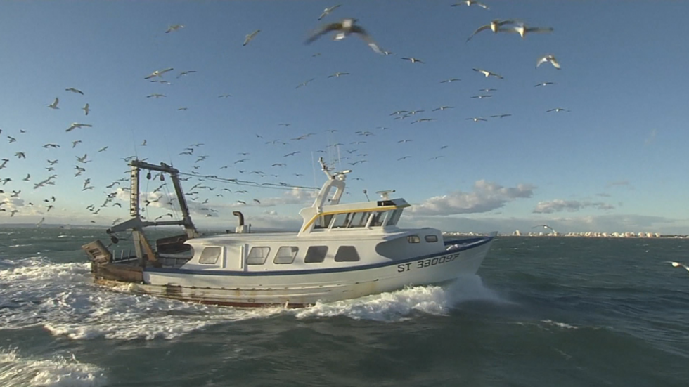 La pêche, une tradition familiale au Grau-du-Roi La pêche, une tradition familiale au Grau-du-Roi