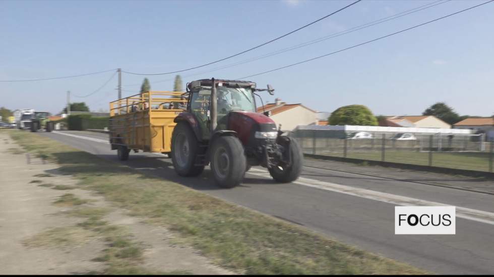 Suicide d'agriculteurs en France : l'épidémie silencieuse