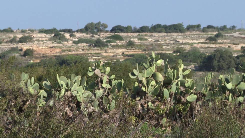 Malte : cherche eau désespérément