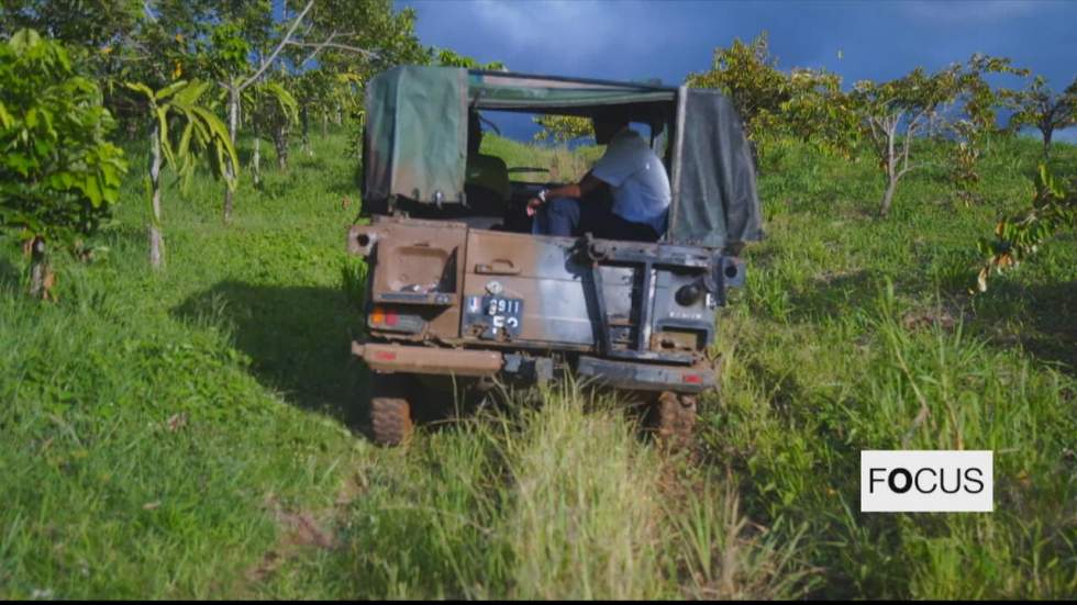 Le chlordécone, poison pour les terres et les corps en Martinique