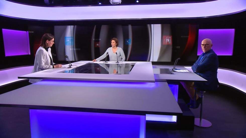 Amélie de Montchalin : "La violence en marge des manifestations pose une question sur le droit de manifester" Amélie de Montchalin : "La violence en marge des manifestations pose une question sur le droit de manifester"