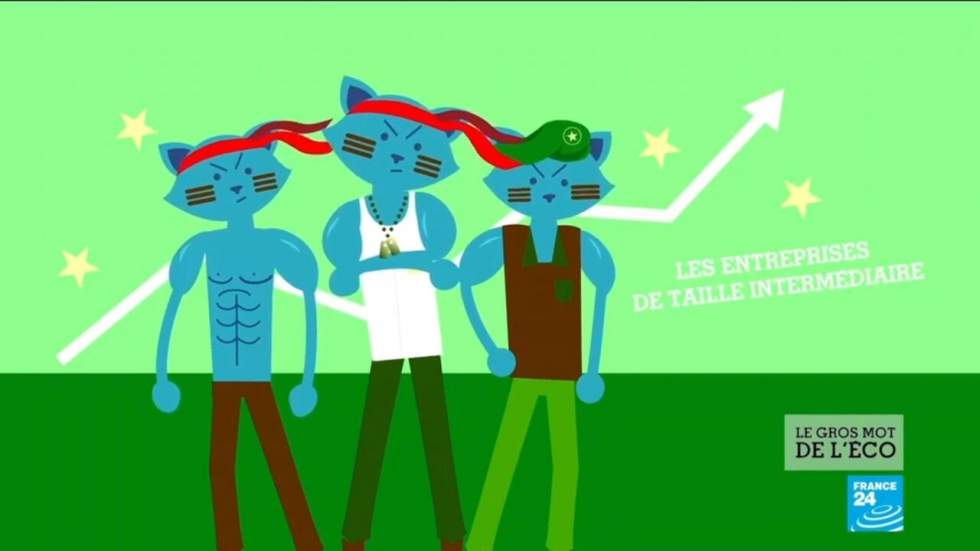 Les entreprises de taille intermédiaire (ETI), taillées pour gagner Les entreprises de taille intermédiaire (ETI), taillées pour gagner