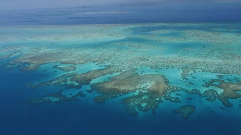 Réchauffement climatique : la Grande Barrière de corail se meurt