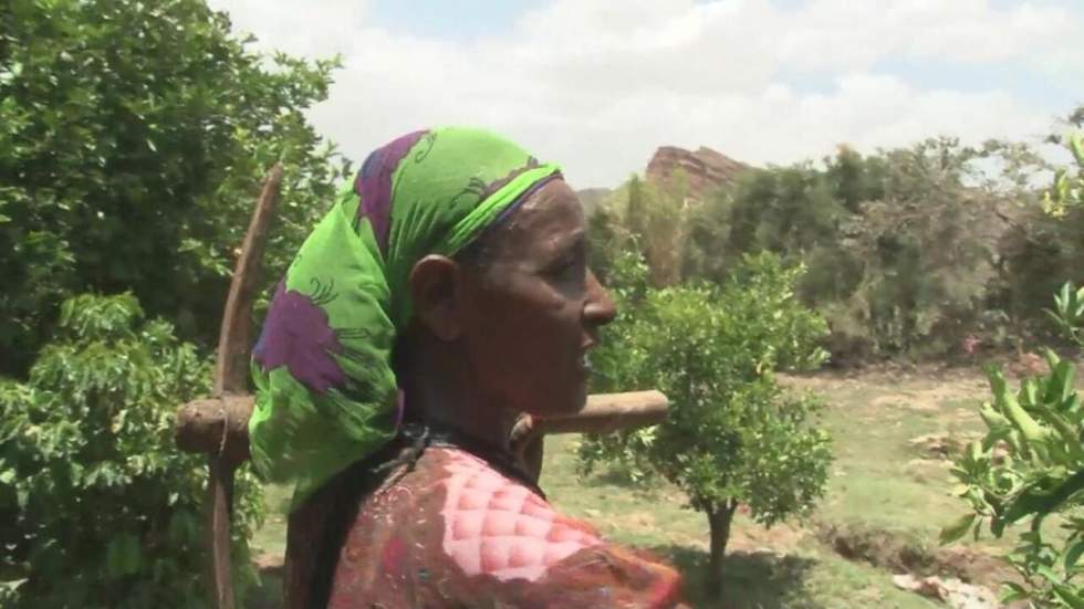 Éthiopie : la permaculture, clé de la prospérité en milieu rural