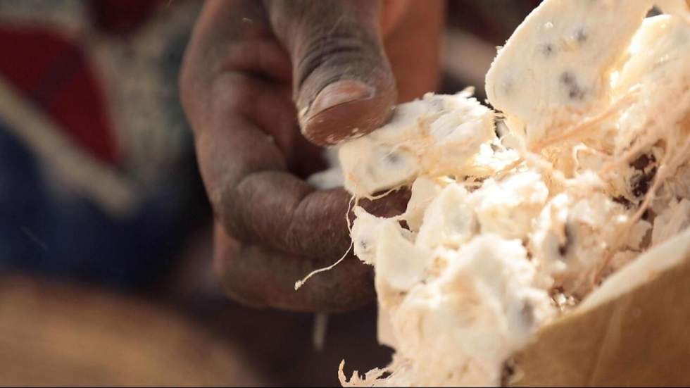 Sénégal : les baobabs de la fortune