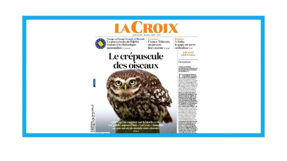 Biodiversité: "Le crépuscule des oiseaux"