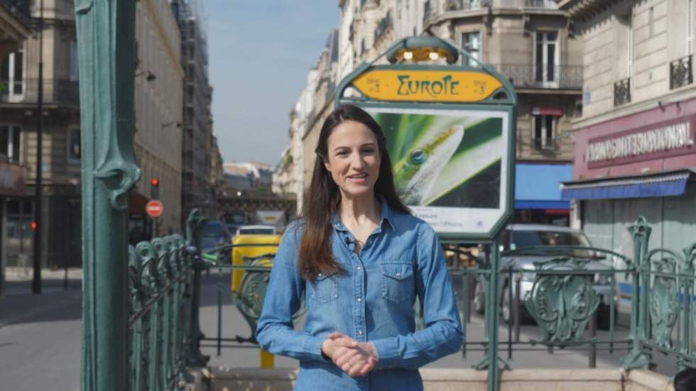Élections européennes : décryptage des listes françaises Élections européennes : décryptage des listes françaises