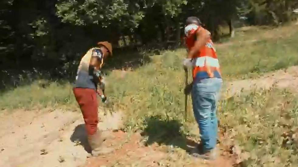 Journée mondiale des réfugiés : quand les migrants sont formés au maraîchage Journée mondiale des réfugiés : quand les migrants sont formés au maraîchage
