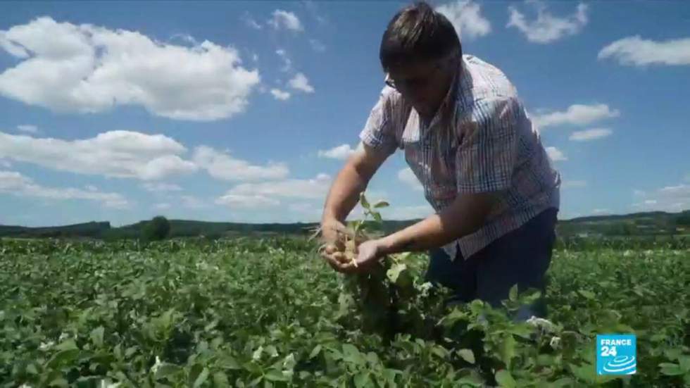 L'Autriche divisée sur l'interdiction totale du glyphosate