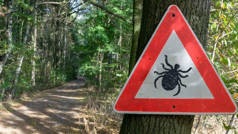 Maladie de Lyme : le Pentagone sommé de s’expliquer sur une théorie du complot