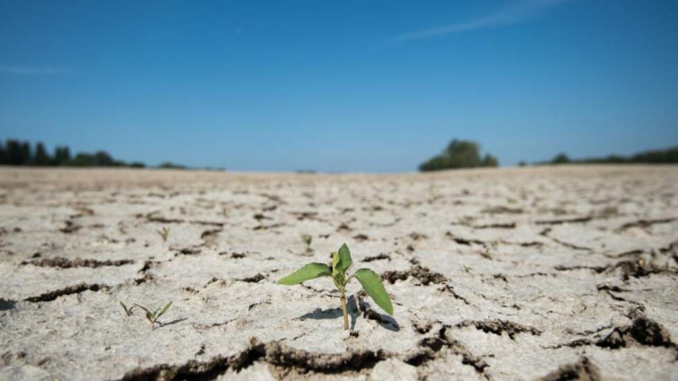 Près d'un quart de la population mondiale menacée par une pénurie d'eau