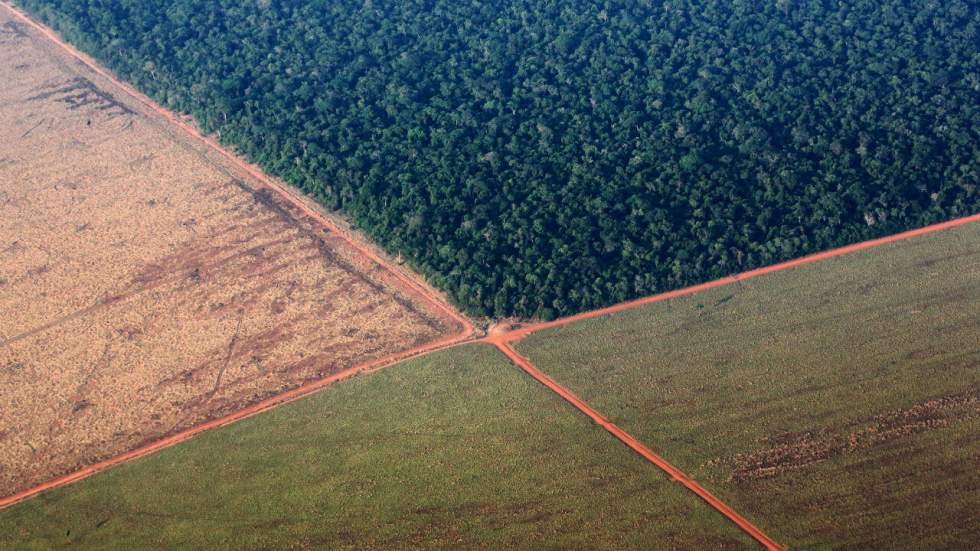 Alimentation, agriculture... Les pistes du Giec pour sauver la planète