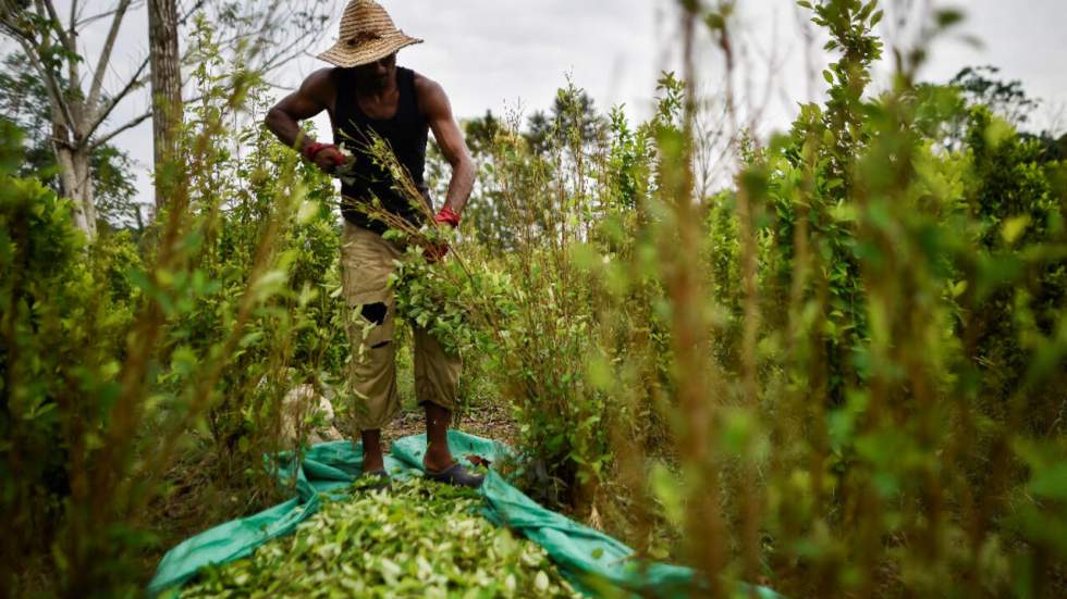 En Colombie, des milliers de Vénézuéliens confrontés à la guerre de la drogue