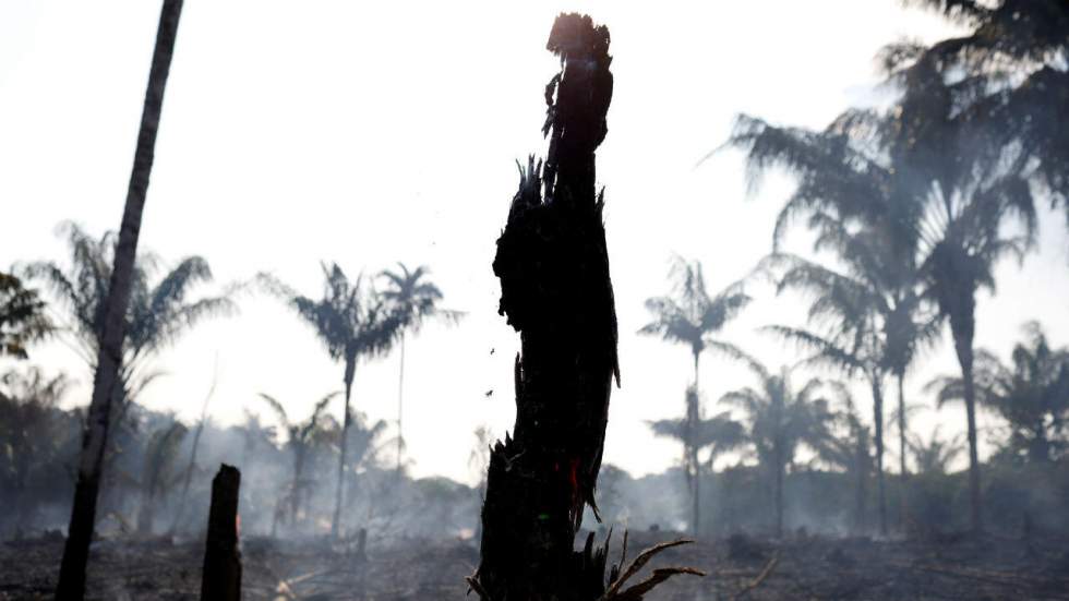 L'Amazonie brûle, Bolsonaro en pompier-pyromane