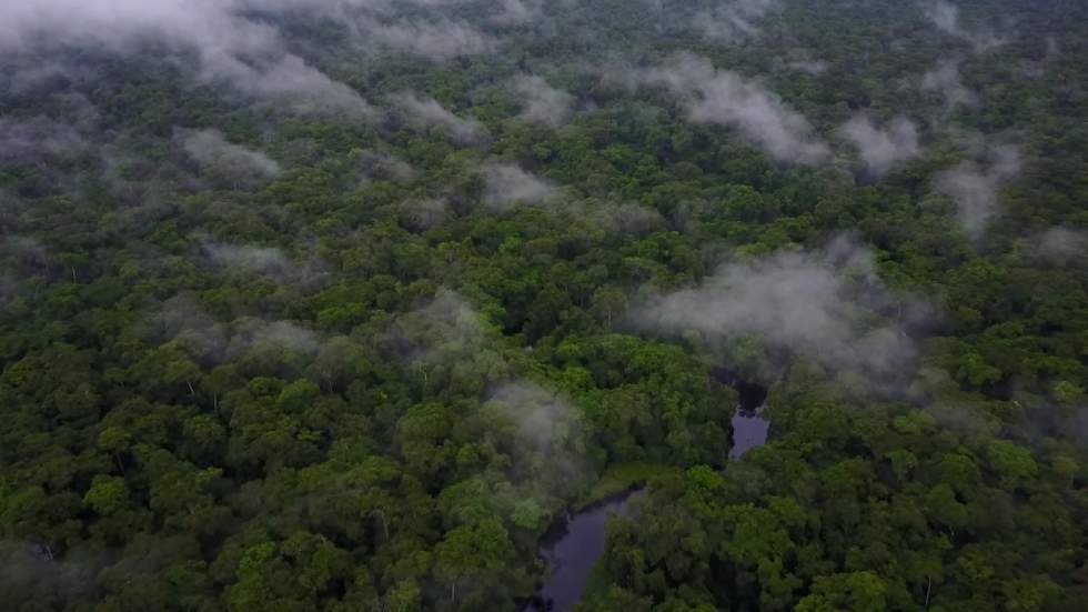 Incendies en Afrique centrale : plus de 10 000 feux recensés en 48 heures en RD Congo et en Angola