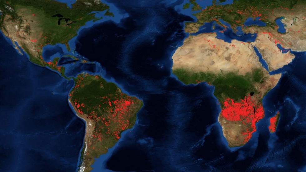 La forêt brûle aussi en Afrique, pour des raisons différentes