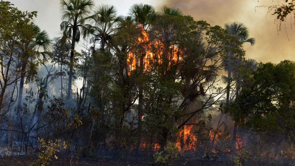 Un sommet sur l'Amazonie pour tenter d'éteindre l'incendie