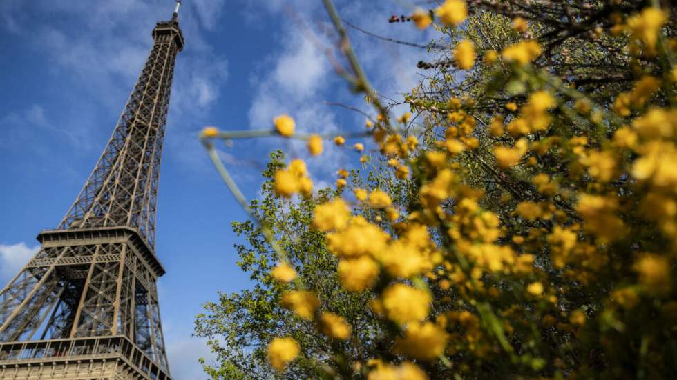 Paris et quatre autres villes françaises interdisent l'usage des pesticides