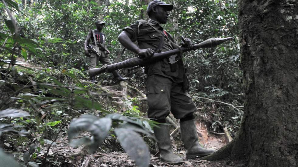 L'armée congolaise dit avoir abattu le chef de la rébellion rwandaise FDLR L'armée congolaise dit avoir abattu le chef de la rébellion rwandaise FDLR