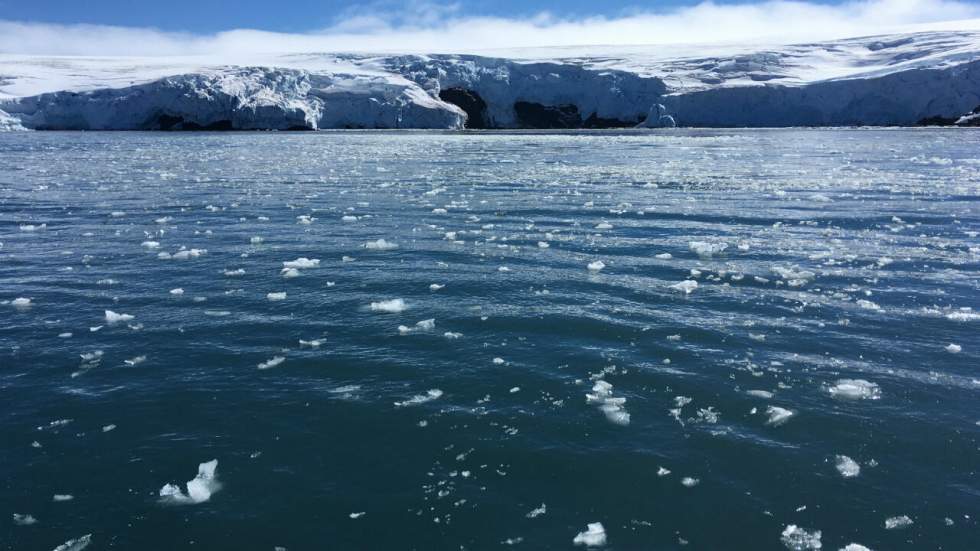 Le Giec dévoile un sinistre tableau des océans et des zones glacées de la planète