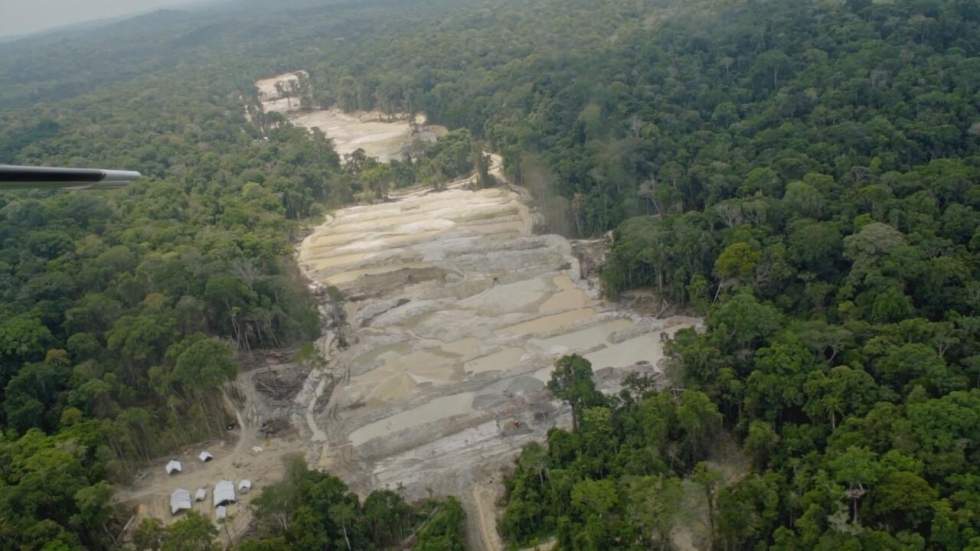 Amazonie : les ONG dans le collimateur de Jair Bolsonaro