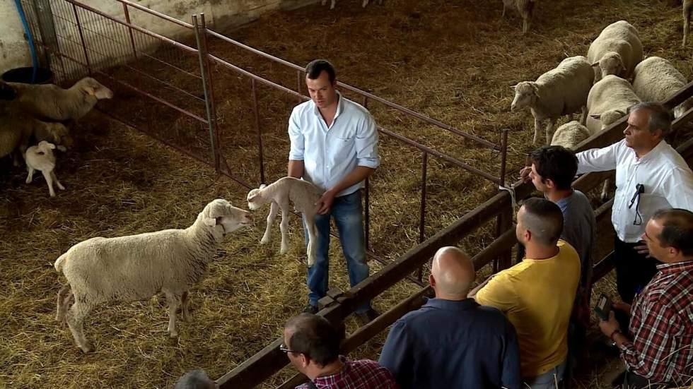 Au Portugal, la lutte contre l'exode rural devenue une priorité nationale