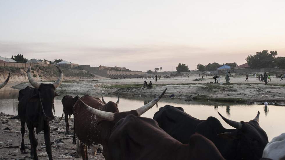 Sommet africain sur le climat : "Au Tchad, on enregistre déjà 48°C à l’ombre"