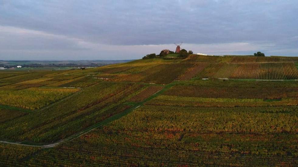 La Champagne à l’automne