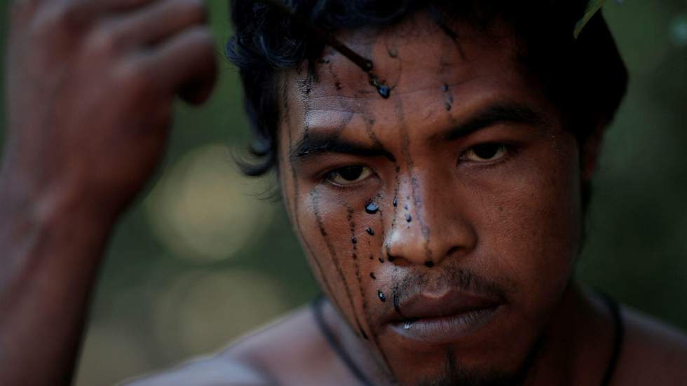 Amazonie : sous la canopée, le drame indigène