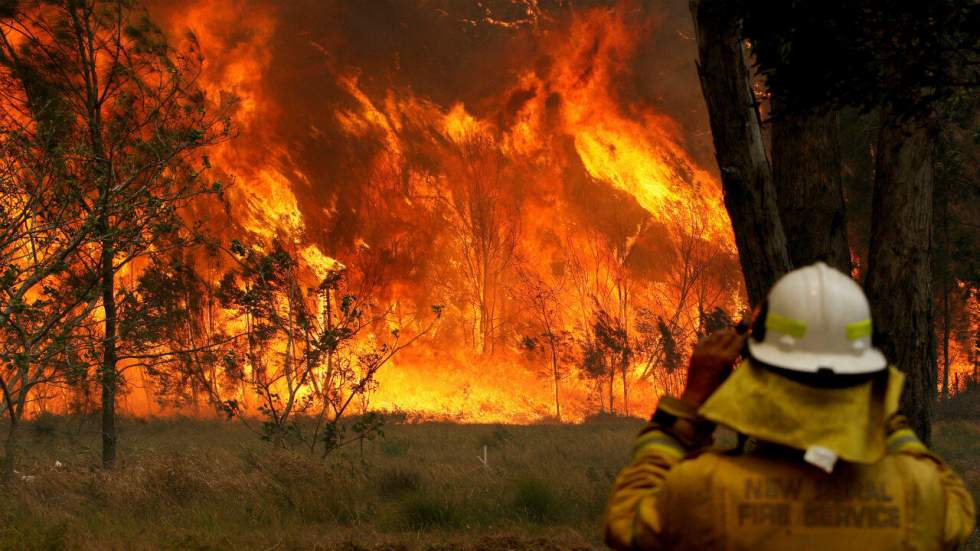 Incendies en Australie : Sydney se prépare à affronter une situation "catastrophique"